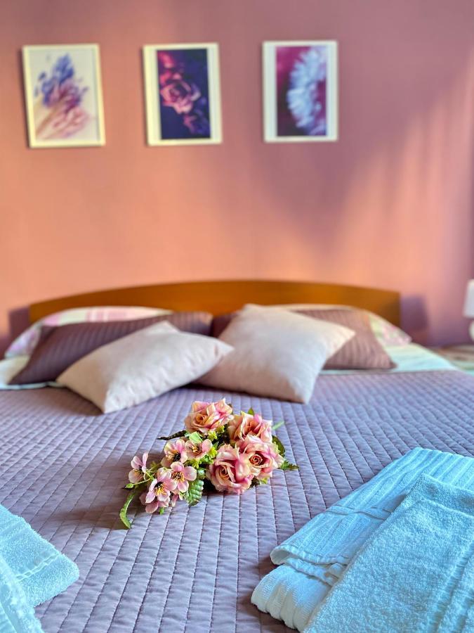 Dreams In Rome - Colosseum Apartment Ngoại thất bức ảnh
